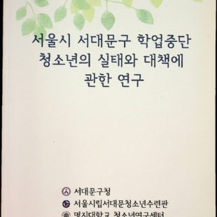 서울시 서대문구 학업중단 청소년의 실태와 대책에 관한 연구